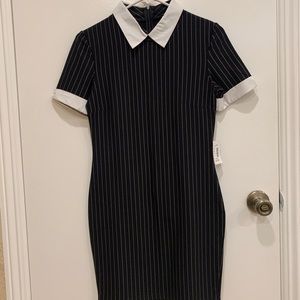 Pinstripe Collared Dress